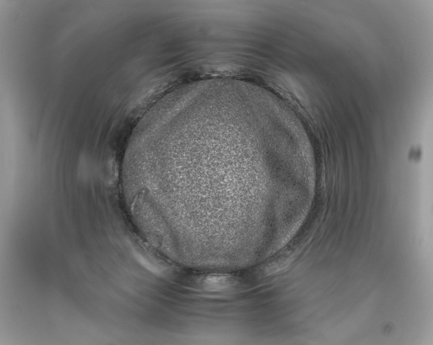 X0000093530173200710261259