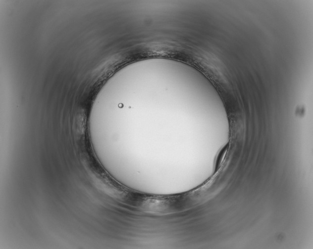 X0000093530174200710261259