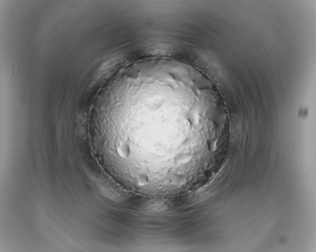 X0000093530175200710261259