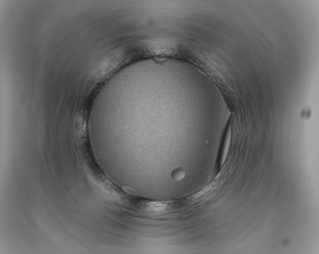 X0000093530176200710261259