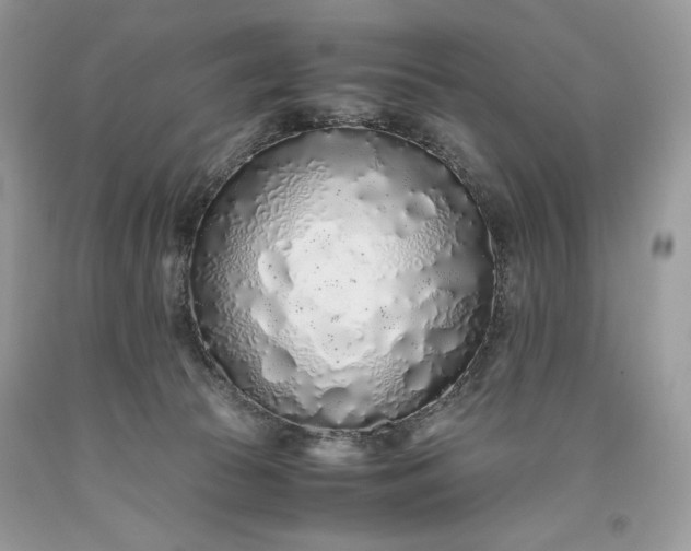 X0000093530177200710261259