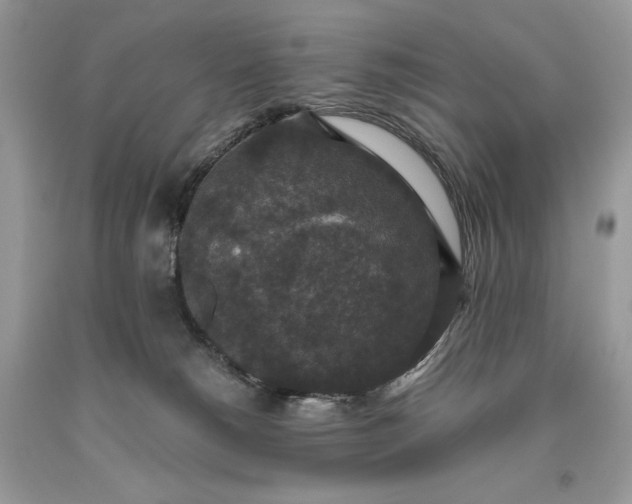 X0000093530180200710261300