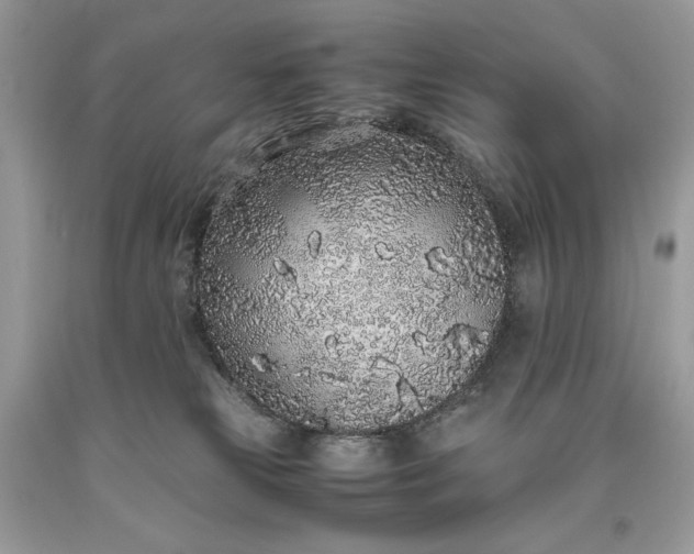 X0000093530181200710261300