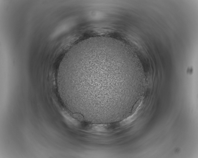 X0000093530182200710261300