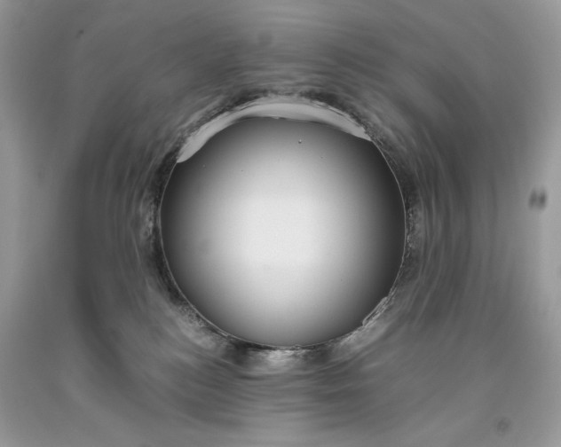 X0000093530184200710261300