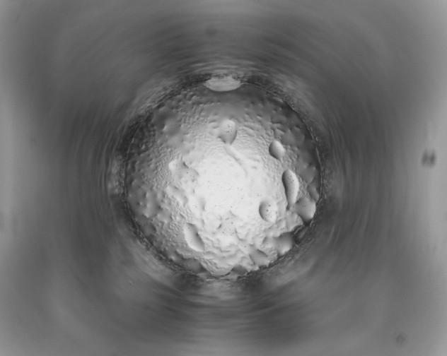 X0000093530185200710261300