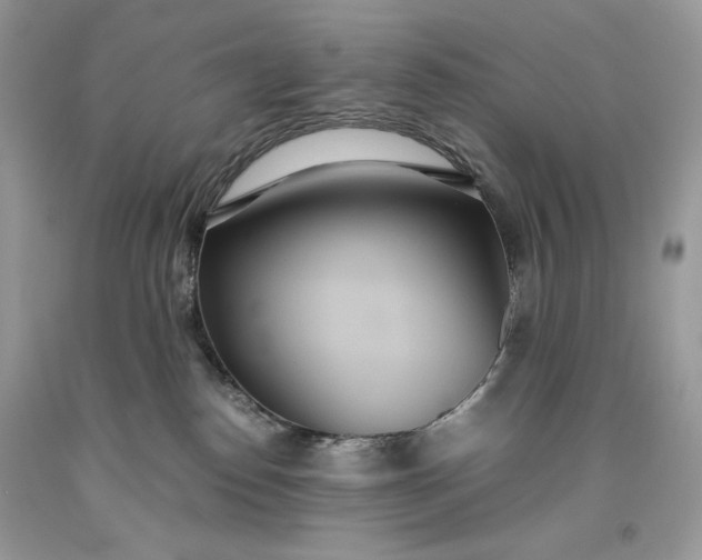 X0000093530186200710261300