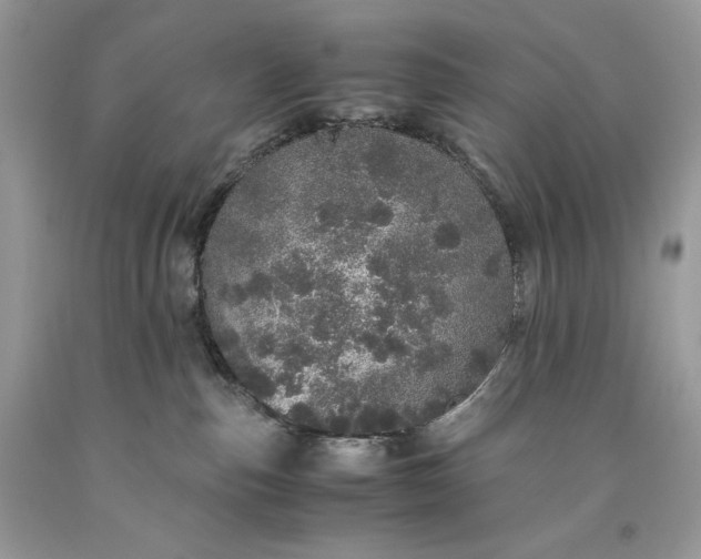 X0000093530187200710261300