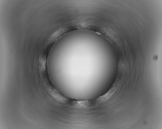 X0000093530188200710261300