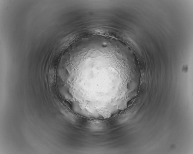 X0000093530189200710261300