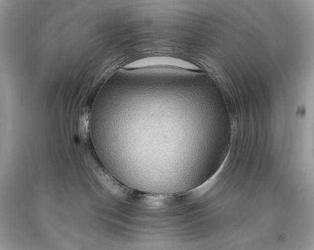 X0000093530190200710261300