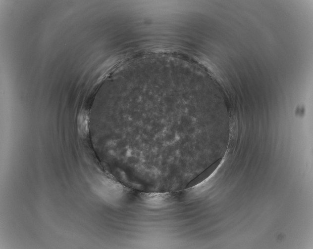 X0000093530191200710261300