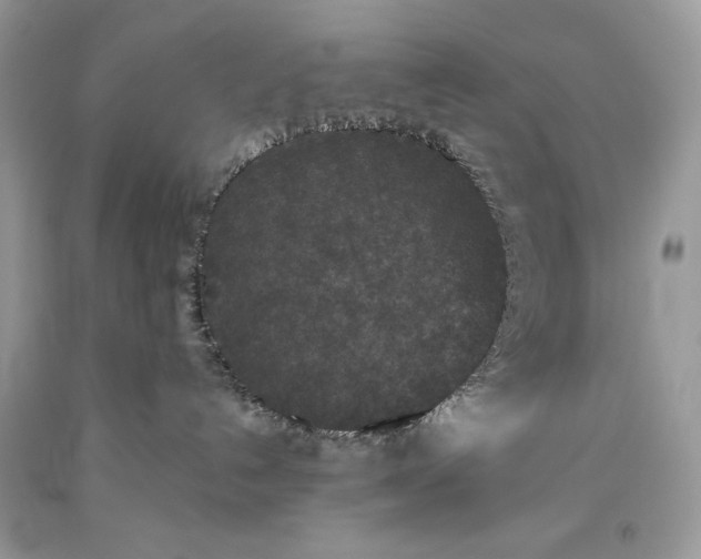 X0000093530192200710261300