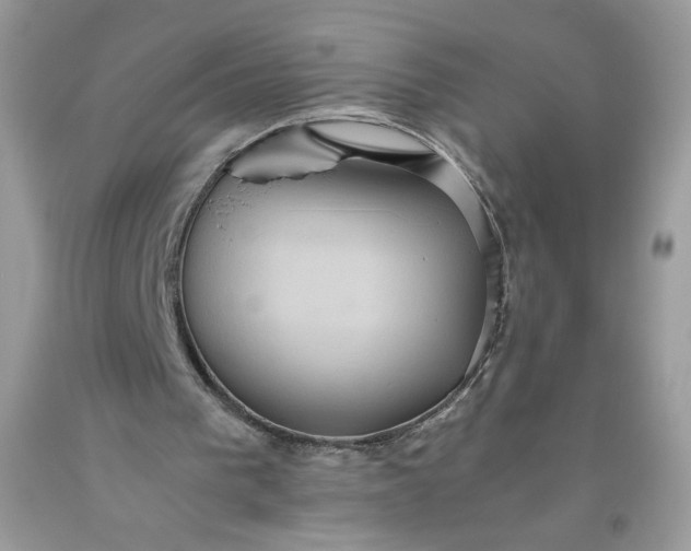 X0000093530193200710261259