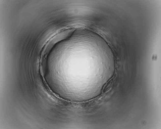 X0000093530194200710261259