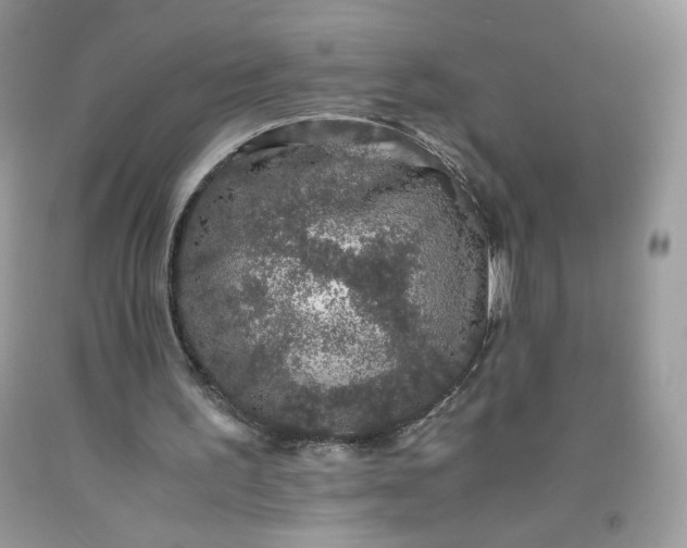 X0000093530195200710261259