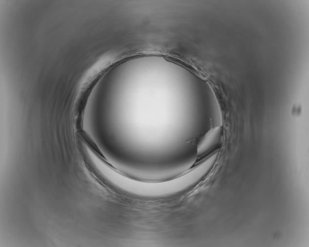 X0000093530197200710261259