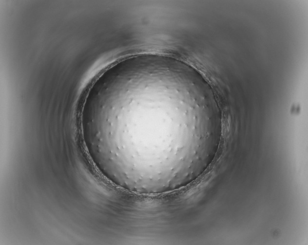 X0000093530198200710261259