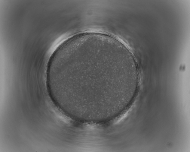 X0000093530199200710261259