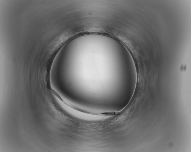 X0000093530201200710261259