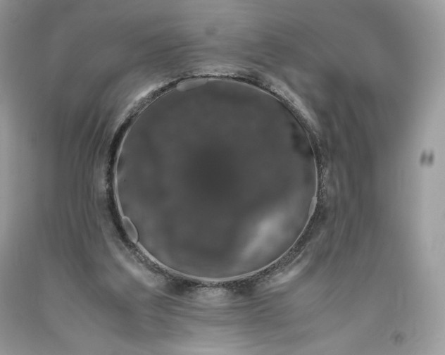 X0000093530203200710261259