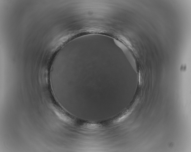 X0000093530205200710261259