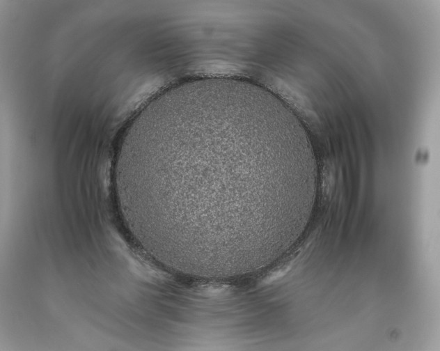 X0000093530206200710261259