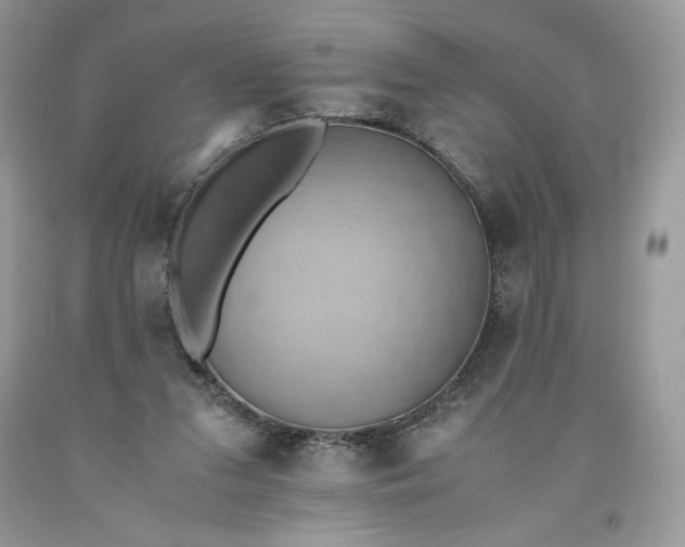 X0000093530207200710261259