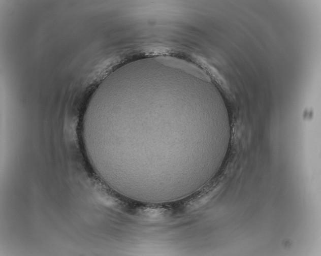 X0000093530209200710261259