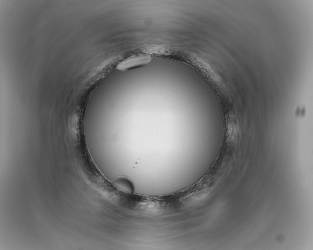 X0000093530211200710261259