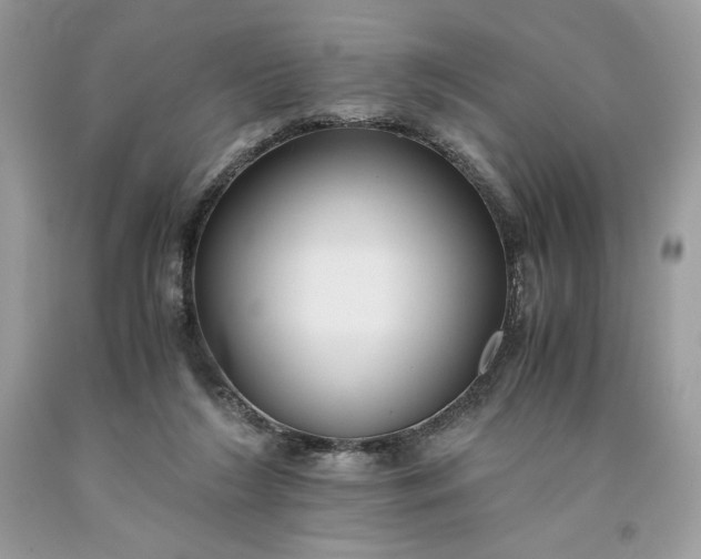 X0000093530212200710261259