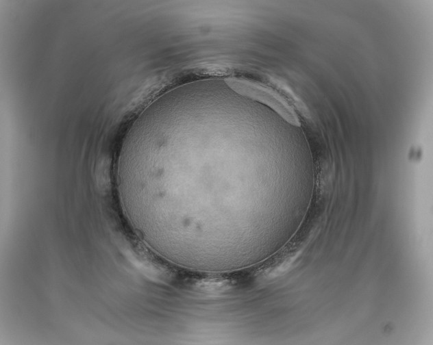 X0000093530213200710261259