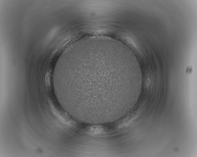 X0000093530214200710261259