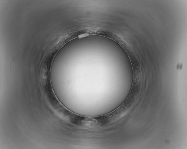 X0000093530215200710261259