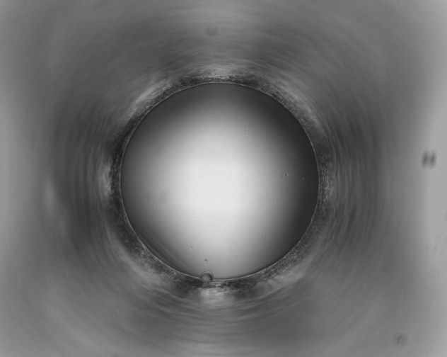 X0000093530216200710261259