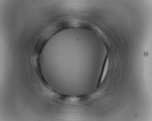 X0000093530217200710261259