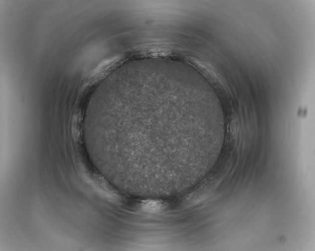 X0000093530218200710261259