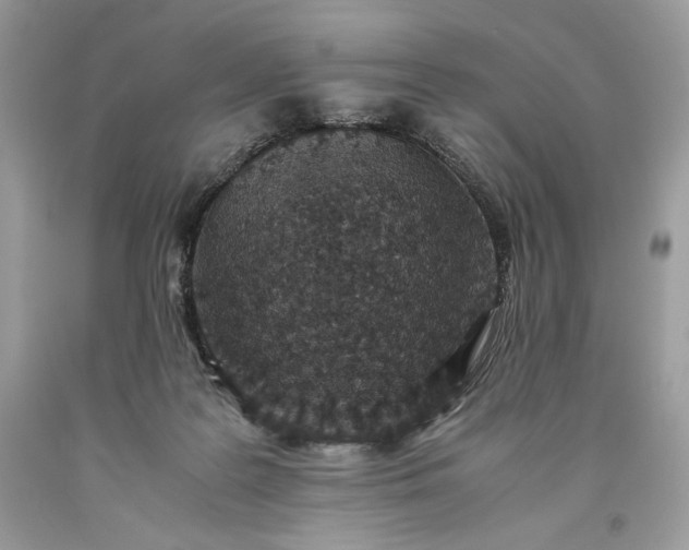 X0000093530219200710261259