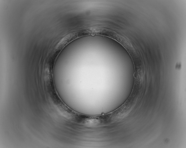 X0000093530220200710261259