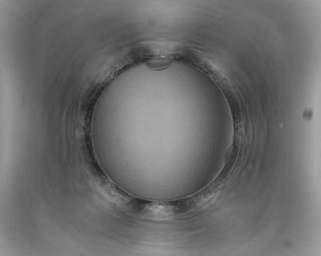 X0000093530221200710261259