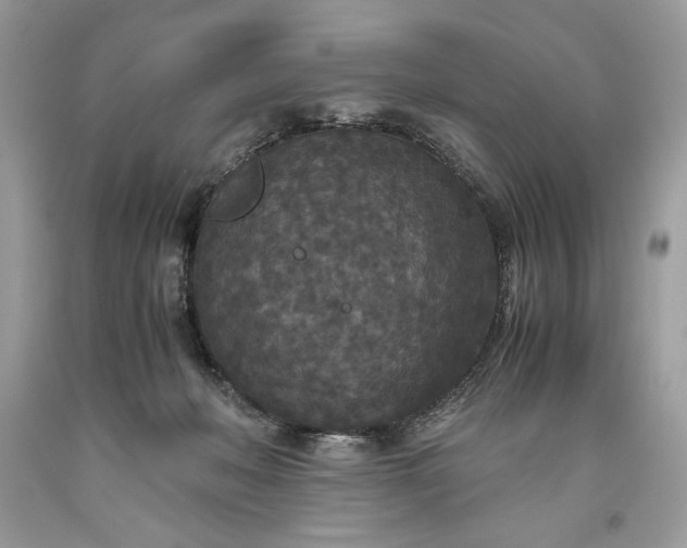 X0000093530222200710261259