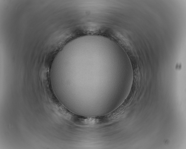 X0000093530225200710261259