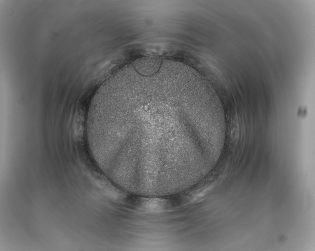 X0000093530226200710261259