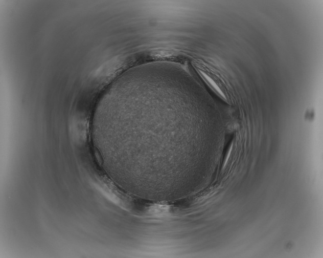 X0000093530227200710261259