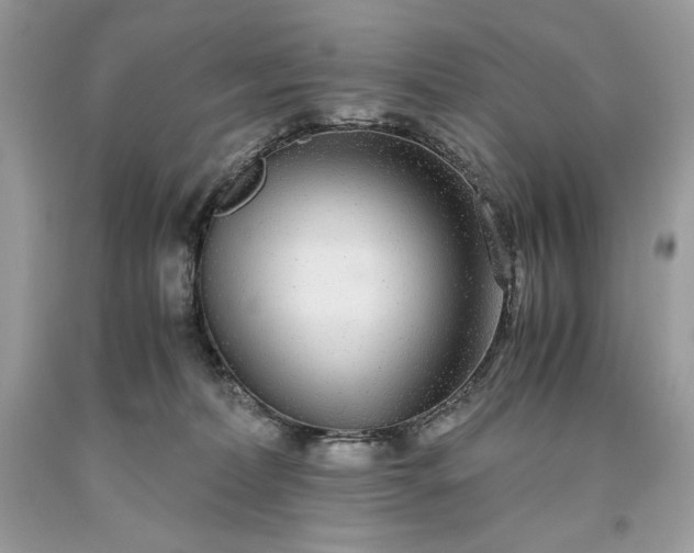 X0000093530228200710261259