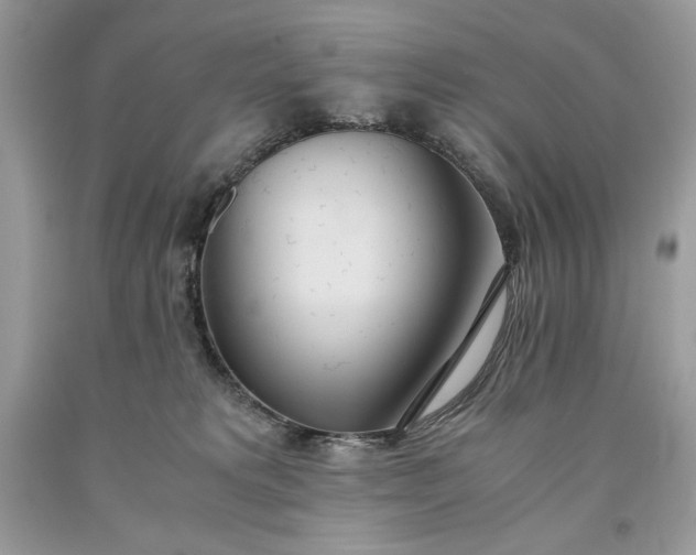 X0000093530229200710261259