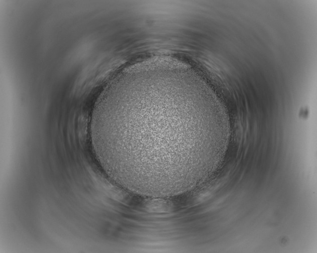 X0000093530230200710261259