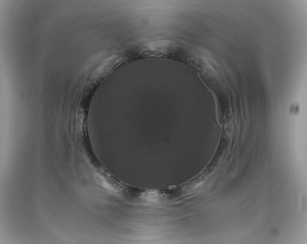 X0000093530231200710261258