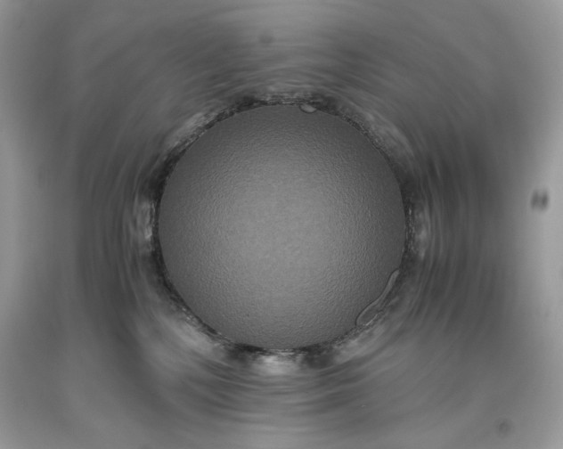 X0000093530232200710261258