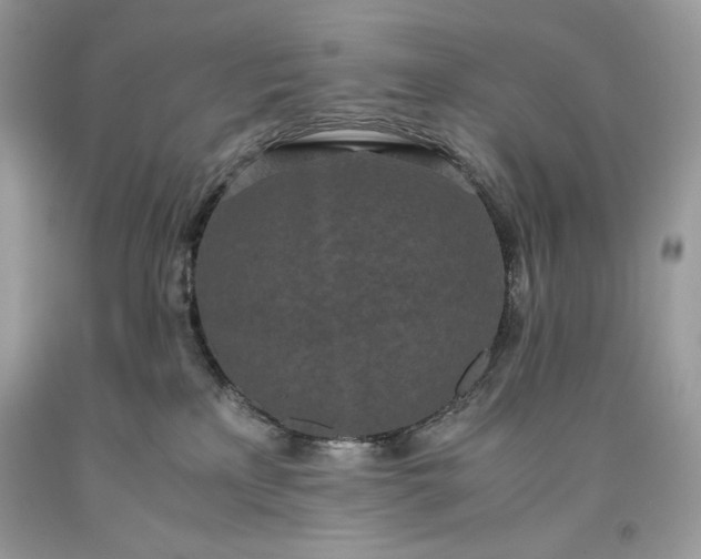 X0000093530233200710261258